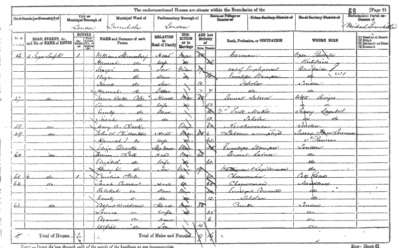 1881 Census extract